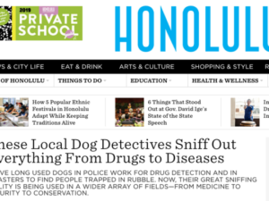 Honolulu Magazine – These Local Dog Detectives Sniff Out Everything From Drugs to Diseases