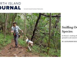 Earth Island Journal – Sniffing Out Invasive Species