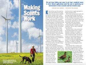 Island Dog Magazine – Making Scents Work