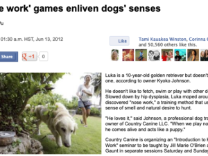 Nose Work Enlivens Dogs’ Senses