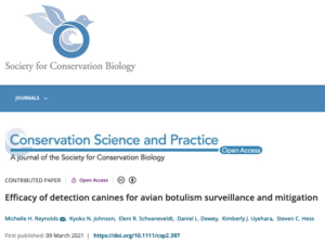 Avian Botulism Detector Dog Study